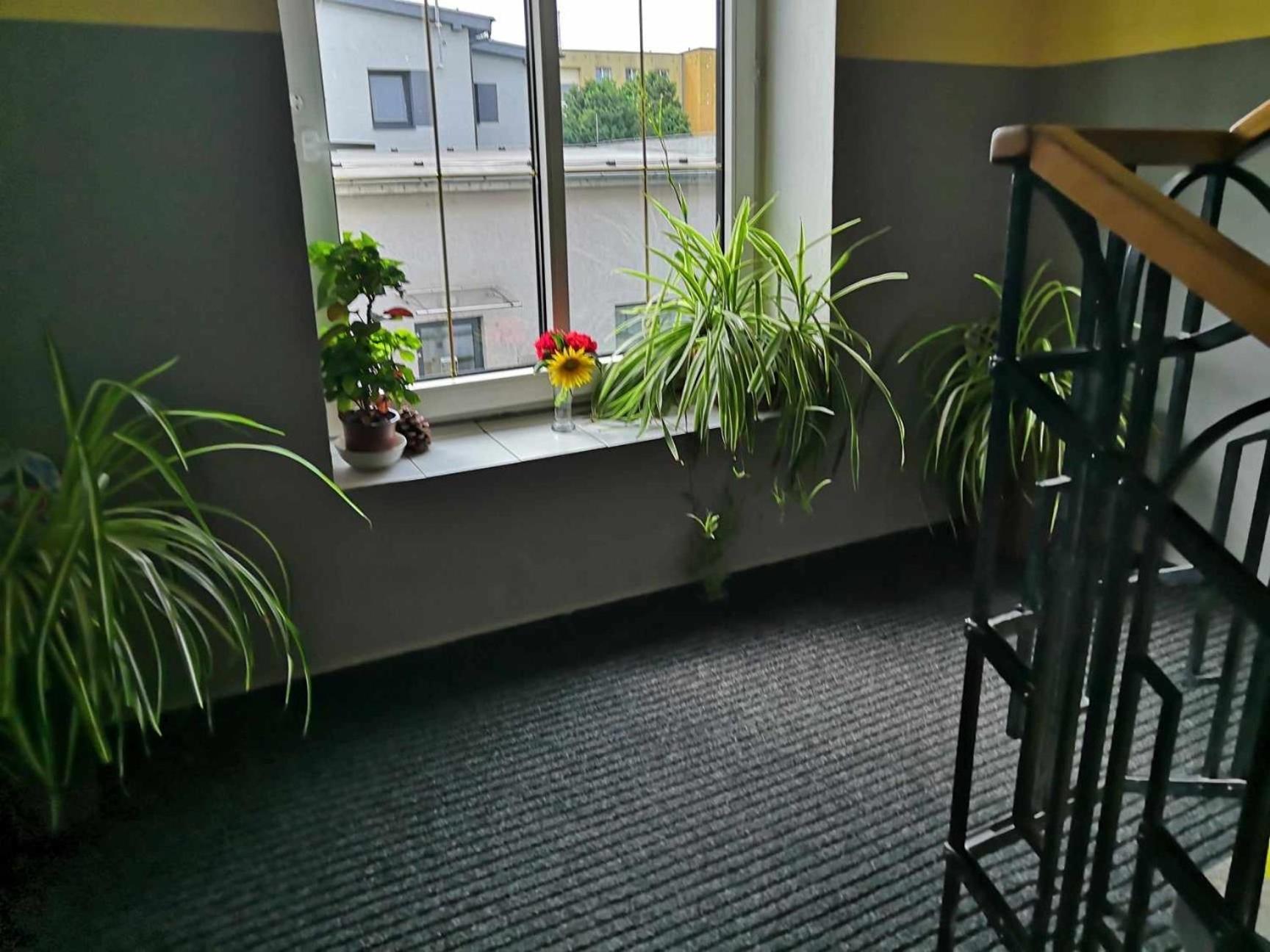 Zlata-Era Hotell Ostrava Eksteriør bilde